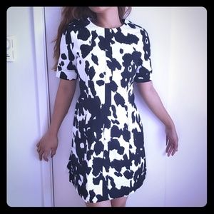 2 Pony ivory DVF Lena
